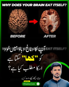 Your brain can eat itself under stress"